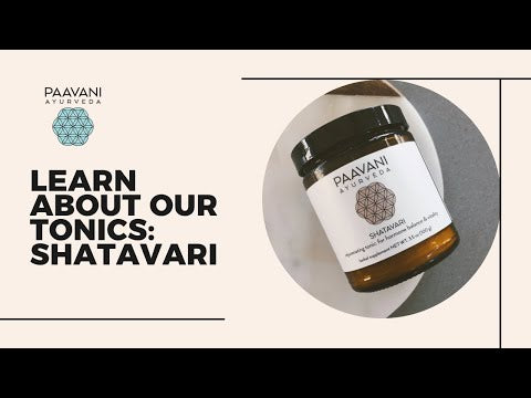 Shatavari | Ayurvedic Rejuvenative Herb for Hormonal Balance & Vitality